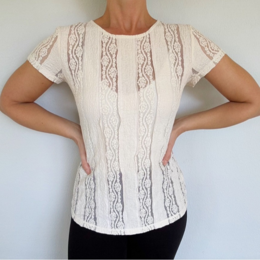 CAbi ivory lace sheer stripe print short sleeve cotton crewneck blouse small